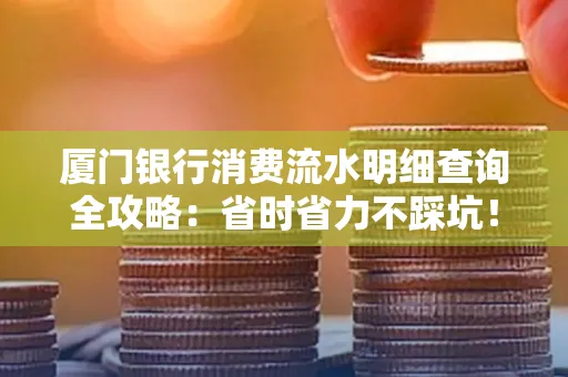 厦门银行消费流水明细查询全攻略：省时省力不踩坑！