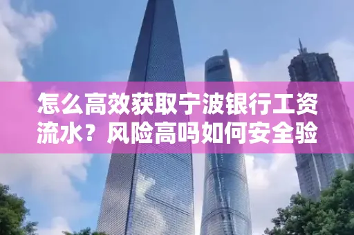 怎么高效获取宁波银行工资流水？风险高吗如何安全验证？