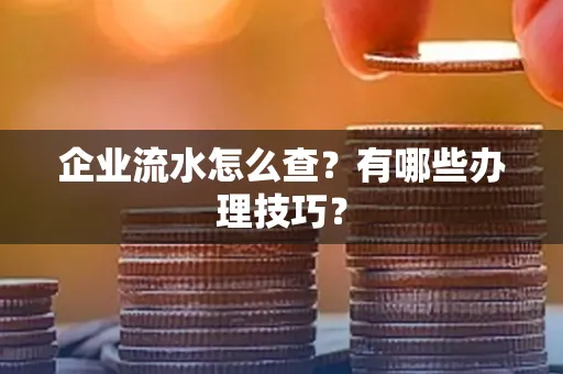 企业流水怎么查？有哪些办理技巧？