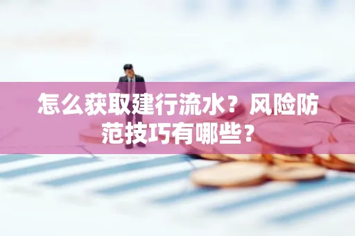 怎么获取建行流水？风险防范技巧有哪些？