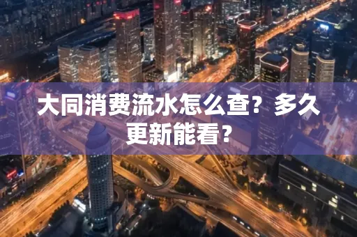 大同消费流水怎么查？多久更新能看？