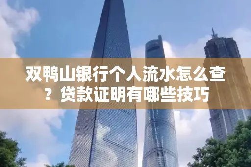 双鸭山银行个人流水怎么查？贷款证明有哪些技巧