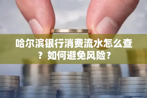 哈尔滨银行消费流水怎么查？如何避免风险？
